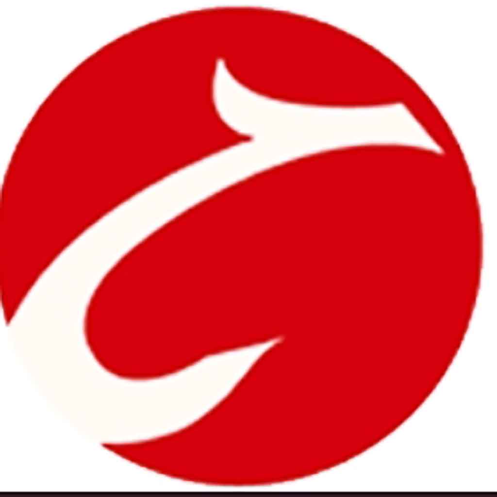 系统图标